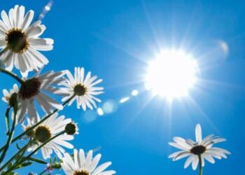 الطقس: تحسّن تديرجي في كامل مناطق البلاد ابتداء من يوم غد