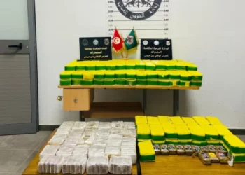 تفكيك شبكة دولية للمخدرات وغسل الأموال وإيقاف 67 شخصا