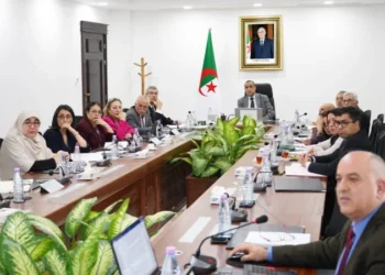 تونس والجزائر تناقشان مقترحا لإنجاز محطة كهرباء