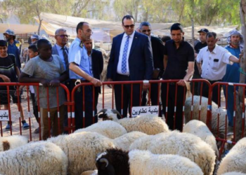 بمناسبة العيد: حملة رقابية في الأسواق والفضاءات التجارية بتطاوين