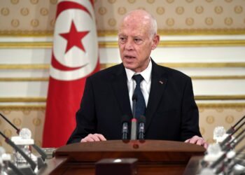 قيس سعيّد: الإشكاليات المطروحة تحتاج حلولا وطنية شاملة