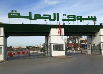 بمناسبة عيد الأضحى: أسواق الجملة تعلق نشاطها يوم الثلاثاء وتستأنفه الخميس