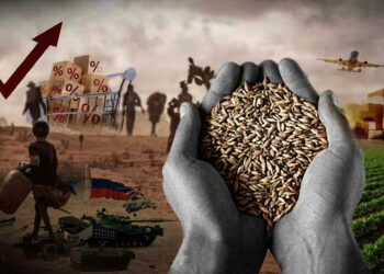 إتحاد الفلاحة يدعو إلى إحداث المجلس الأعلى للسيادة الغذائية دعما للأمن الغذائي