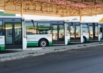 وزارة النقل: برنامج استثنائي لضمان نقل المواطنين بمناسبة عيد الإضحى