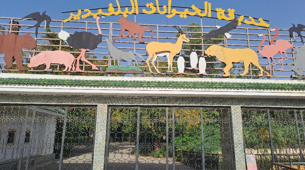 حديقة الحيوانات بالبلفيدير تفتح أبوابها بالتوازي مع عطلة عيد الأضحى