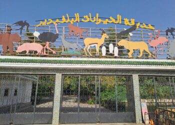حديقة الحيوانات بالبلفيدير تفتح أبوابها بالتوازي مع عطلة عيد الأضحى