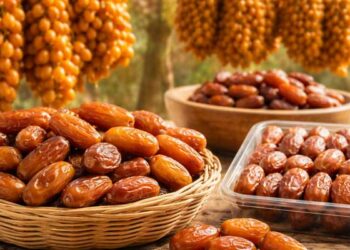 تونس تسجل زيادة في كمية التمور المصدرة