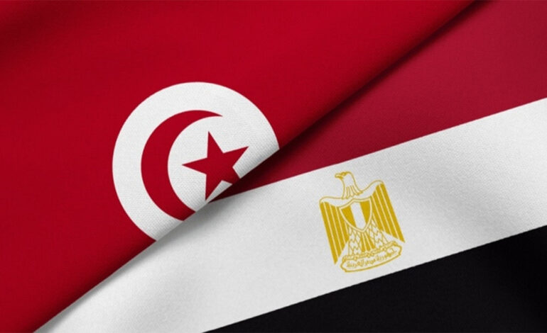 نمو المبادلات التجارية بين تونس ومصر الى 490 مليون دولار