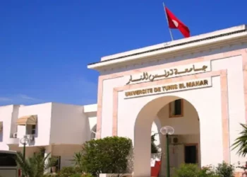 5 جامعات تونسية تحقّق تصنيفا متقدّما ضمن تصنيف تايمز العالمي لسنة 2026