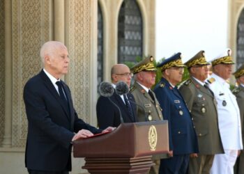 قيس سعيّد: جيشنا الوطني لم يدّر أي جهد لمعاضدة شتّى مؤسسات الدولة