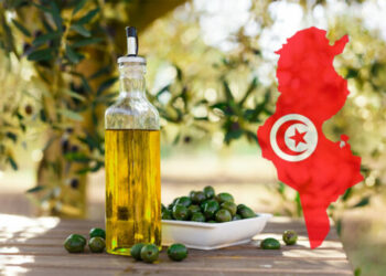 عائدات صادرات زيت الزيتون ترتفع بـ44،9%