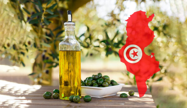 عائدات صادرات زيت الزيتون ترتفع بـ44،9%