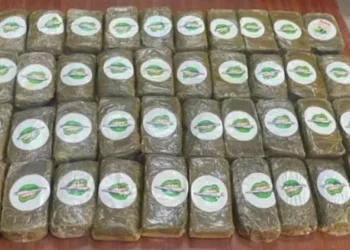 الحرس الوطني يفكّك شبكة لتهريب وترويج المخدرات بين 4 ولايات