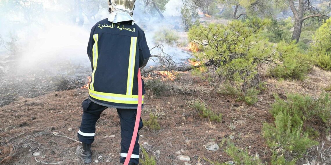 منوبة: اندلاع حريق في جبل ميانة بطبربة وتواصل جهود السيطرة عليه