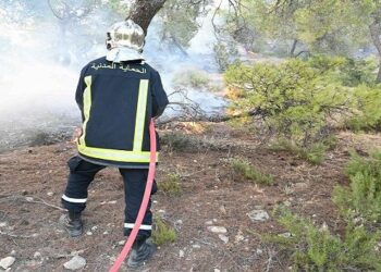 جندوبة-غار الدماء: الجهود متواصلة لإطفاء حريق جبل بو عديلة