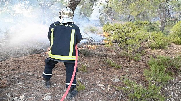 جندوبة-غار الدماء: الجهود متواصلة لإطفاء حريق جبل بو عديلة