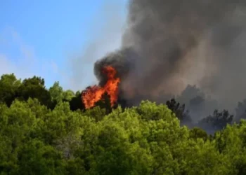 الديوان الوطني للحماية المدنية يقدم جملة من التوصيات الوقائية للحماية من الحرائق