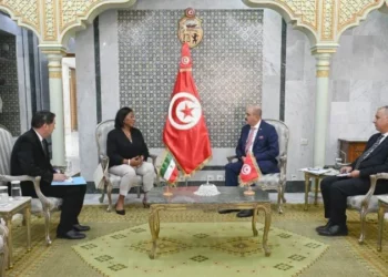 سفيرة غينيا الاستوائية تزور وزير الخارجية بمناسبة انتهاء مهامها بتونس
