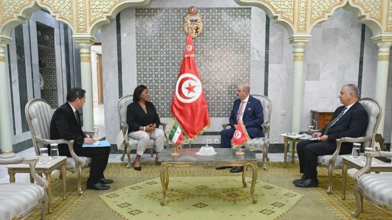 سفيرة غينيا الاستوائية تزور وزير الخارجية بمناسبة انتهاء مهامها بتونس