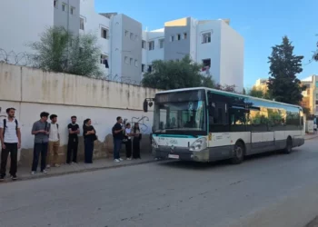 مع بداية السنة الدراسية.. تخصيص 132 خطًا خاصًا بالنقل المدرسي والجامعي في تونس