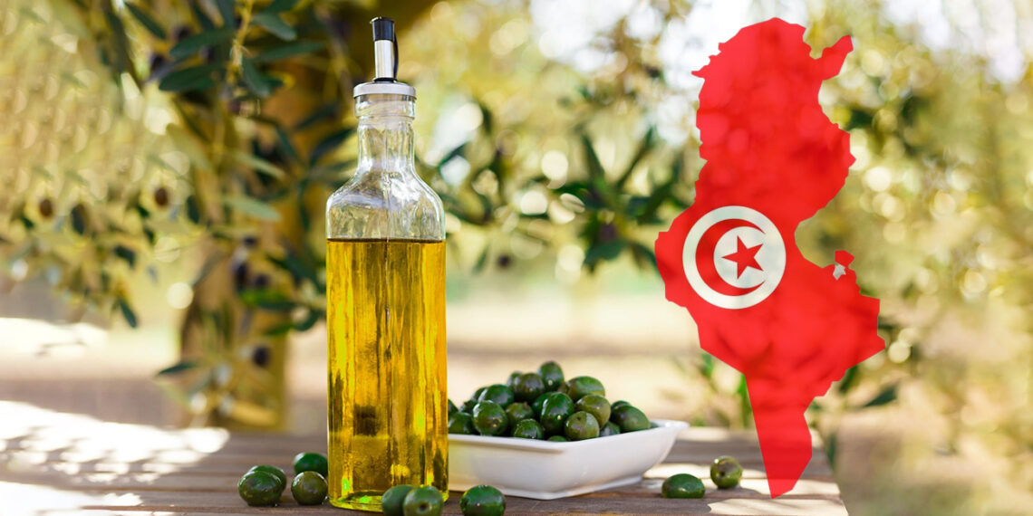 تونس الأولى عربيا والثانية عالميا في إنتاج زيت الزيتون