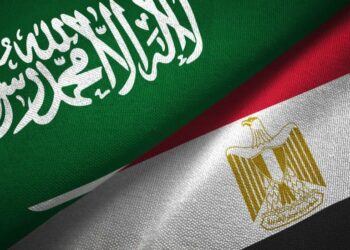 مصر: مجلس الدّفاع الوطني يوافق على إرسال قوّات عسكريّة لدعم السعوديّة