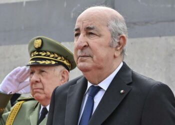تبون: أرسلنا مقاتلات إلى النيجر لإحباط محاولة انقلابية