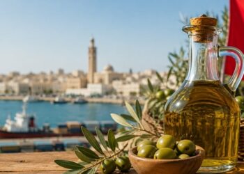 عائدات زيت الزّيتون التّونسي تتجاوز 4 مليارات دينار