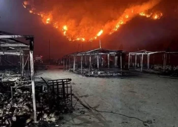 الجزائز: البرلمان يقرّ قانون الإعدام لمضرمي حرائق الغابات