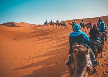 لانتعاشة القطاع السياحي.. جامعة سياحة تدعو لمراجعة موعد عطلة الشتاء وتمديدها