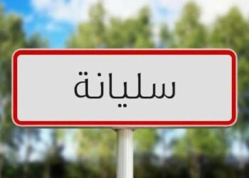 أملاك الدولة: إنجاز مشروع مسرح هواء طلق بسليانة يقتضي حسم الصيغة القانونية لاستغلال للعقار