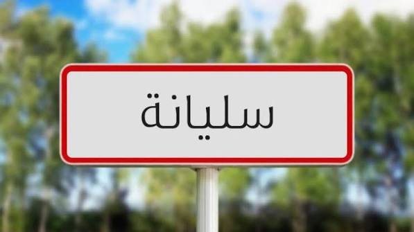 أملاك الدولة: إنجاز مشروع مسرح هواء طلق بسليانة يقتضي حسم الصيغة القانونية لاستغلال للعقار