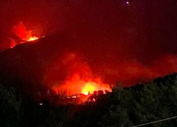 غار الدماء-جندوبة: مركز حماية الغابات يتعزز بقاعة للإنذار ومراقبة الحرائق