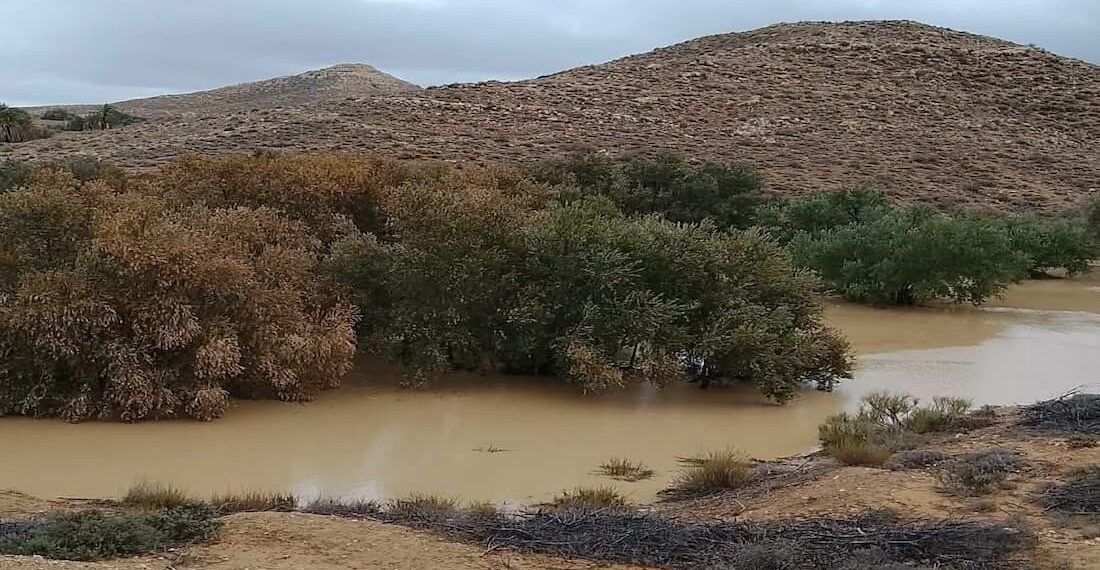 وزارة الفلاحة تحذّر من تقلبات جوية منتظرة