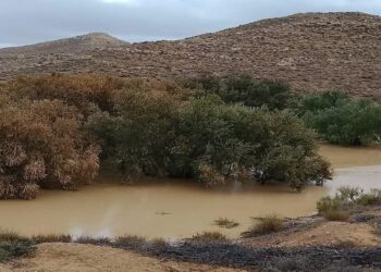 وزارة الفلاحة تحذّر من تقلبات جوية منتظرة