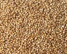 Arrestation de l’importateur du sorgho pourri