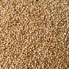 Arrestation de l’importateur du sorgho pourri