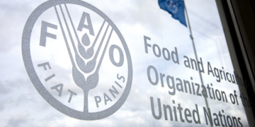 FAO et disponibilité d&rsquo;eau douce au Maghreb