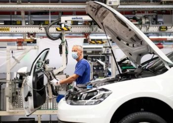 L&rsquo;automobile a peur pour ses puces