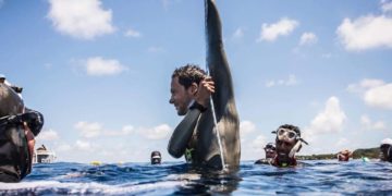 Walid Boudhiaf dompteur du grand bleu