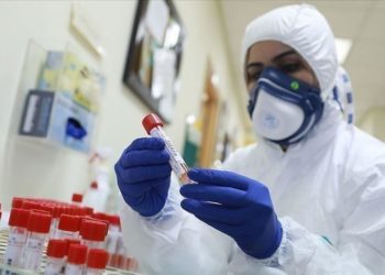 coronavirus Tunisie : l&rsquo;un des plus élevés dans la région