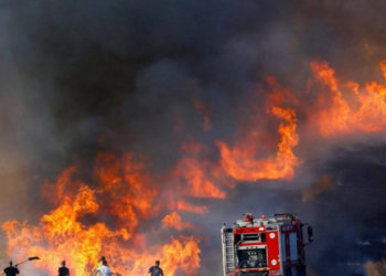 Feux de forêt à Kasserine