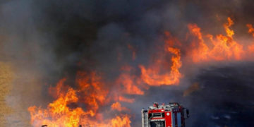 Feux de forêt à Kasserine