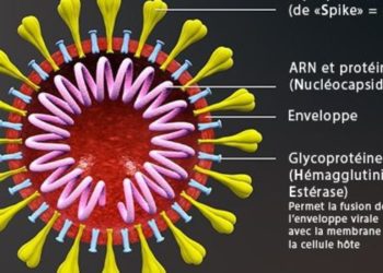Appel à la prudence suite à la découverte du mutant britannique du Covid en Libye