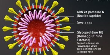 Appel à la prudence suite à la découverte du mutant britannique du Covid en Libye