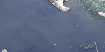 Rapport dans les 48 heures sur les eaux du barrage Sidi Salem, ordonné par le chef du gouvernement