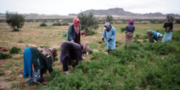 Le combat ne s’arrête  pas…