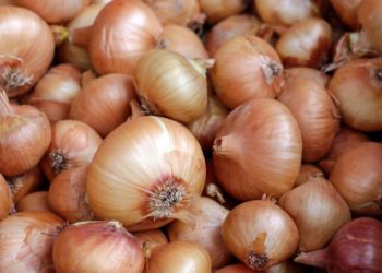 … Et en plus il n&rsquo;y a plus d&rsquo;oignons
