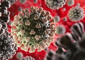 30 % des Tunisiens auraient déjà attrapé le coronavirus, selon Dr Louzir