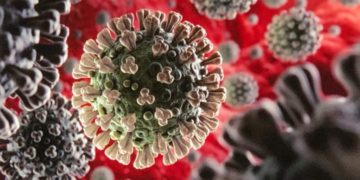 30 % des Tunisiens auraient déjà attrapé le coronavirus, selon Dr Louzir